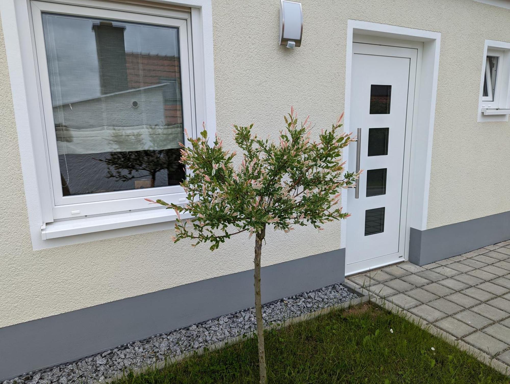 Ferienhaus Zum Kuckuck, Wng 2, Urlaub Im Eichsfeld Kallmerode エクステリア 写真