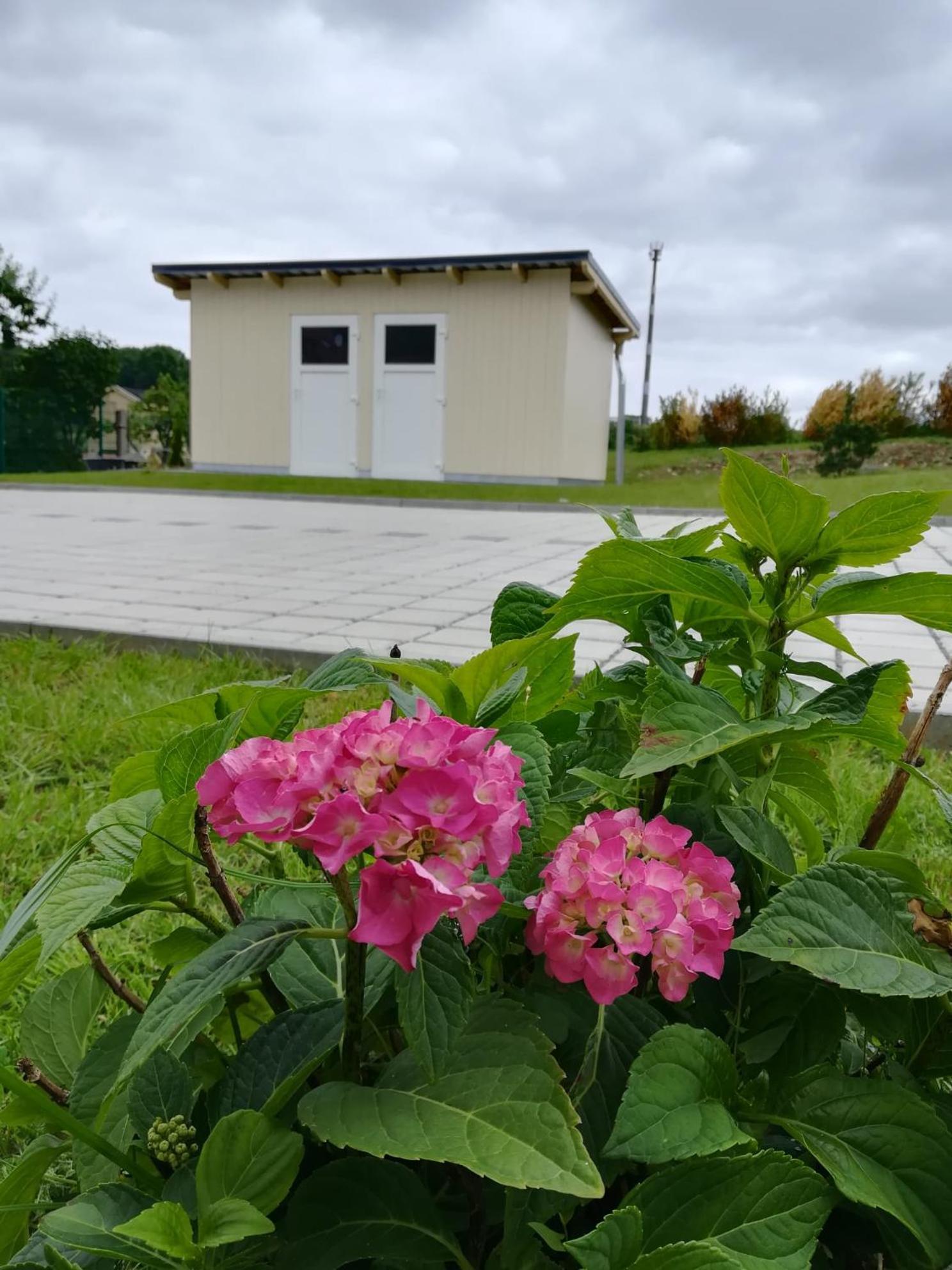 Ferienhaus Zum Kuckuck, Wng 2, Urlaub Im Eichsfeld Kallmerode エクステリア 写真